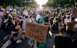  A Day in a Democracy