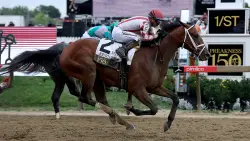 Journalism wins the 150th Preakness Stakes in swift last-second push